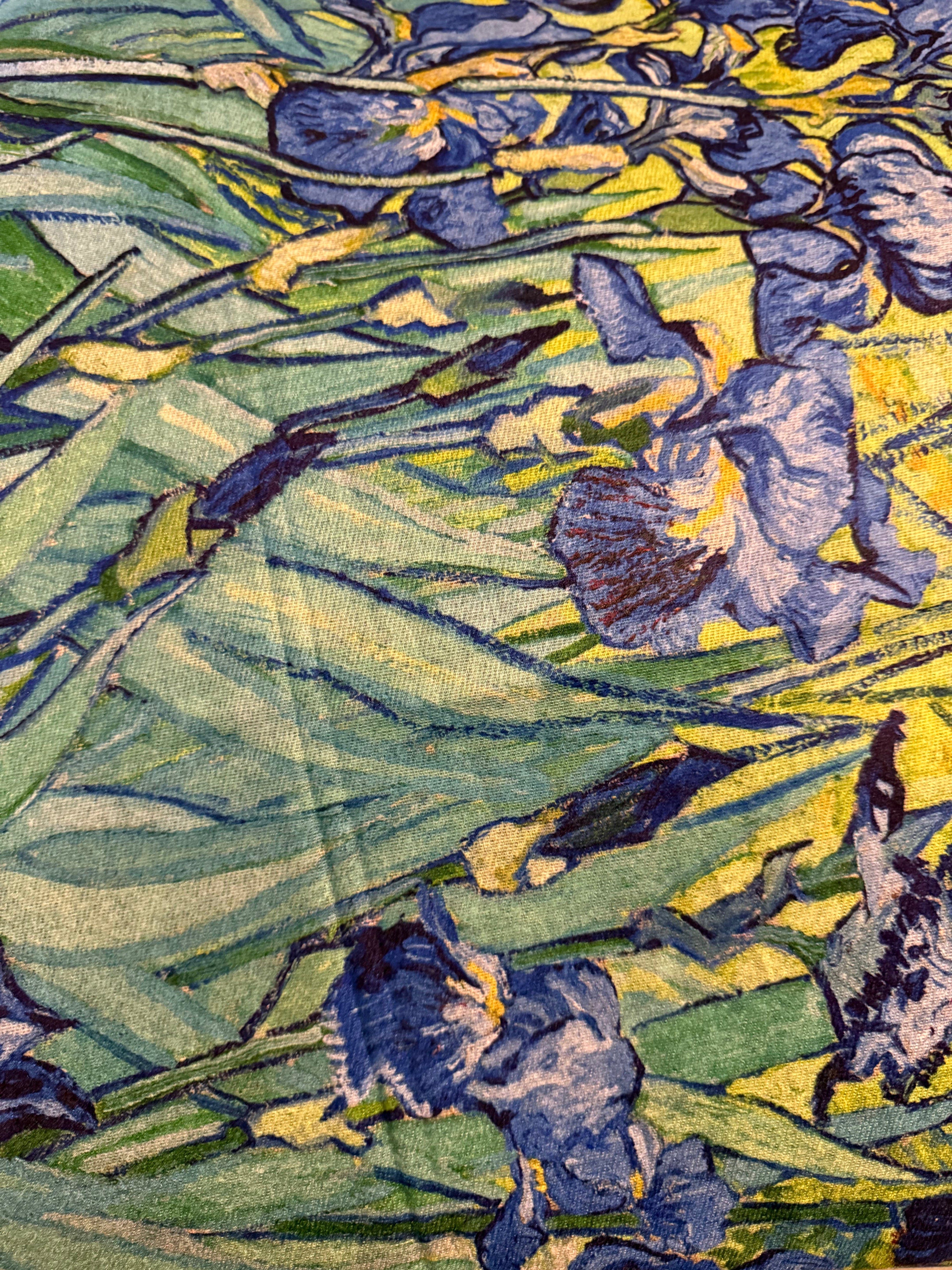 Giftzone - Irises - Women's Cashmere Blend Scarf