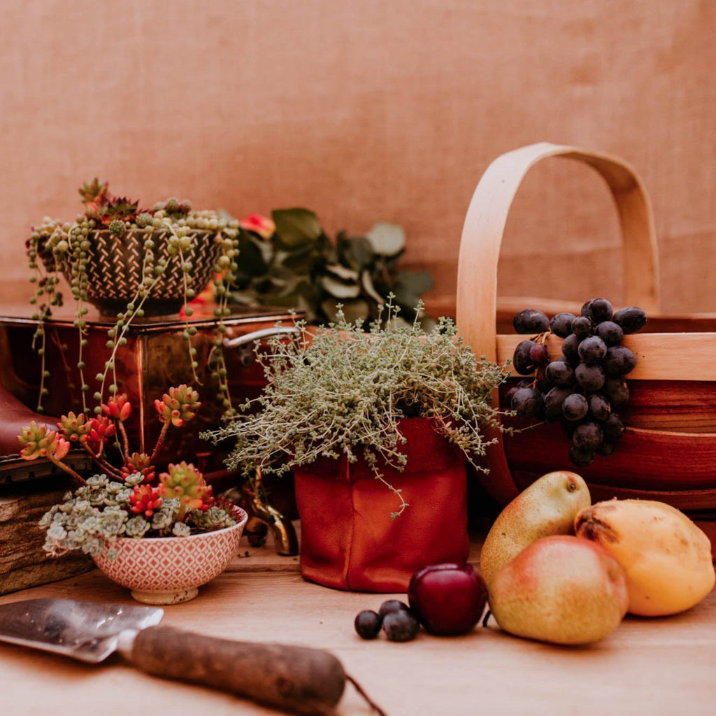 Lake Leather - Plant Pot Cover - Tasmanian Made Leather Pot Sack