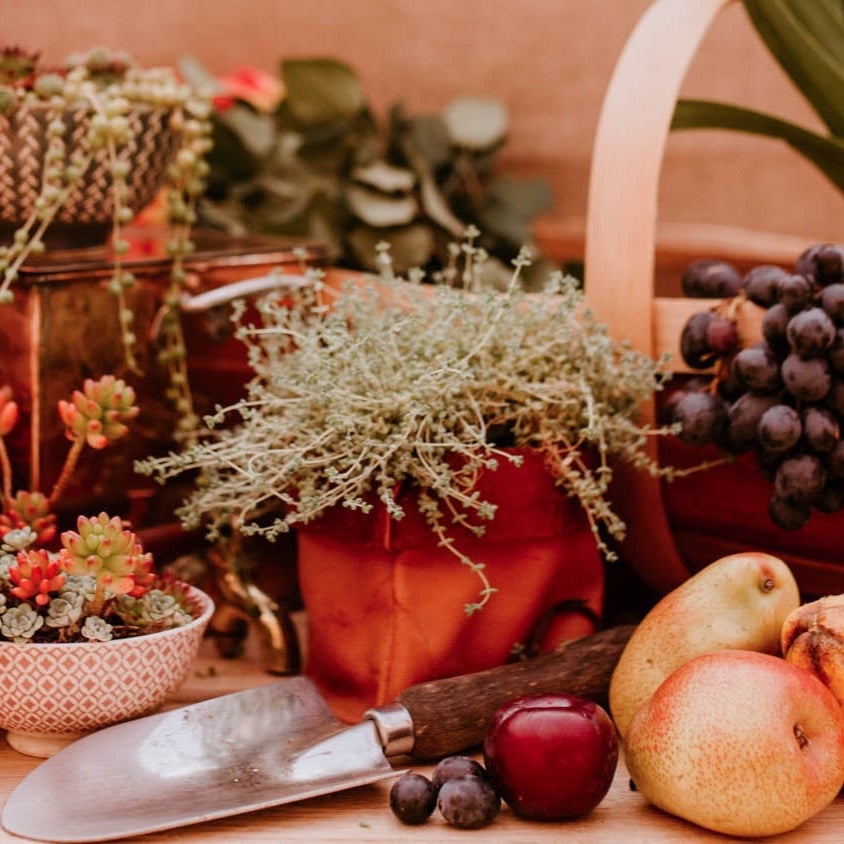 Lake Leather - Plant Pot Cover - Tasmanian Made Leather Pot Sack