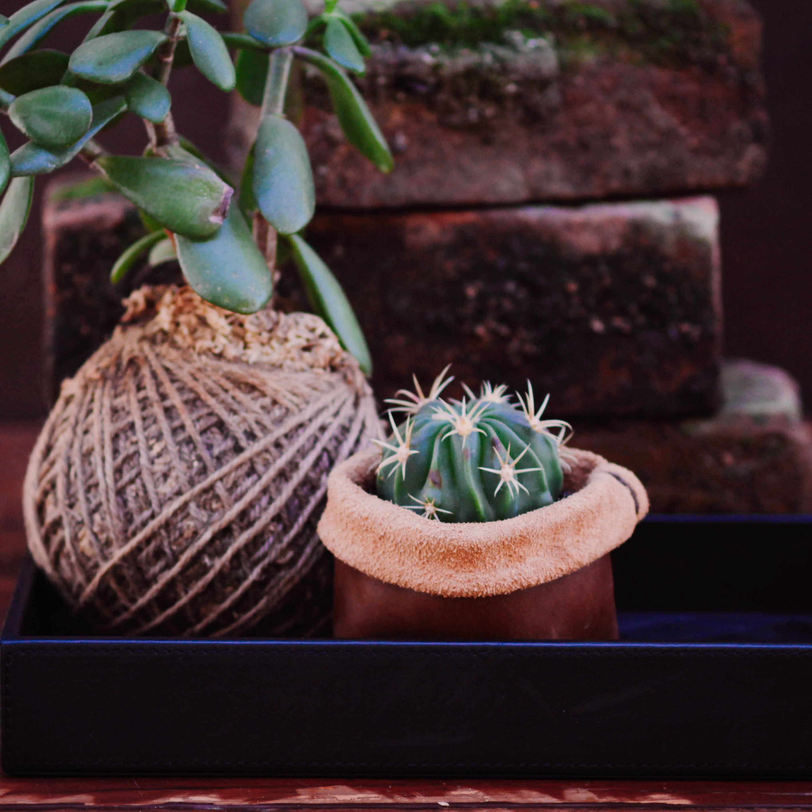 Lake Leather - Plant Pot Cover - Tasmanian Made Leather Pot Sack